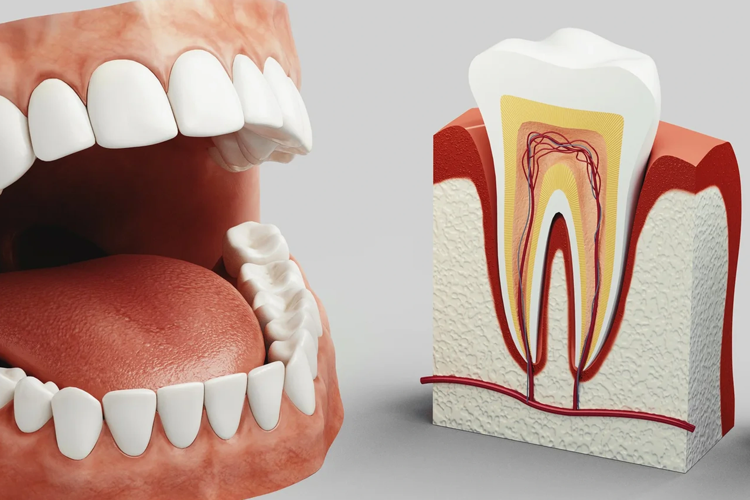 What are the signs of pain that indicate damage to the dental pulp